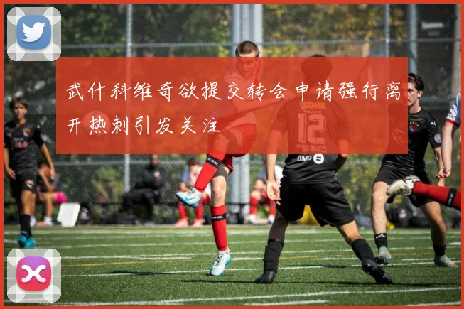武什科维奇欲提交转会申请强行离开热刺引发关注