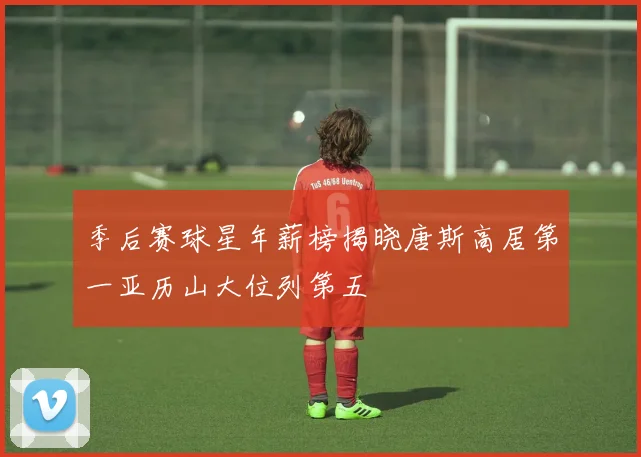 季后赛球星年薪榜揭晓唐斯高居第一亚历山大位列第五