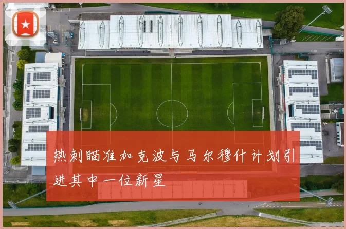 热刺瞄准加克波与马尔穆什计划引进其中一位新星