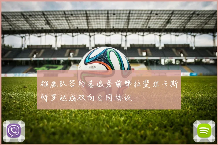 雄鹿队签约落选秀前锋拉斐尔卡斯特罗达成双向合同协议