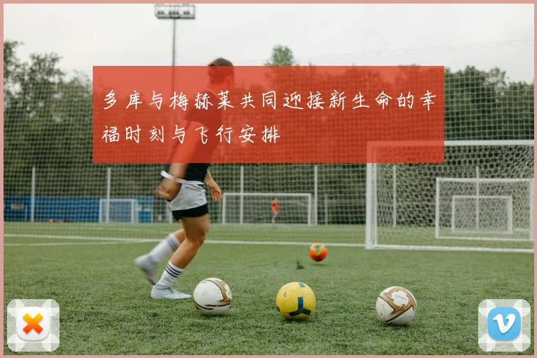 多库与梅赫莱共同迎接新生命的幸福时刻与飞行安排