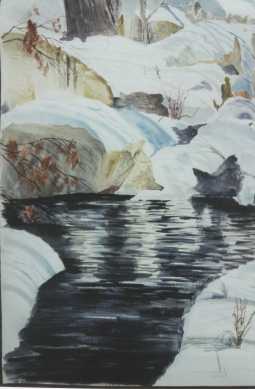 Winter Pool © Ray Hasson