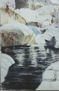 Winter Pool © Ray Hasson